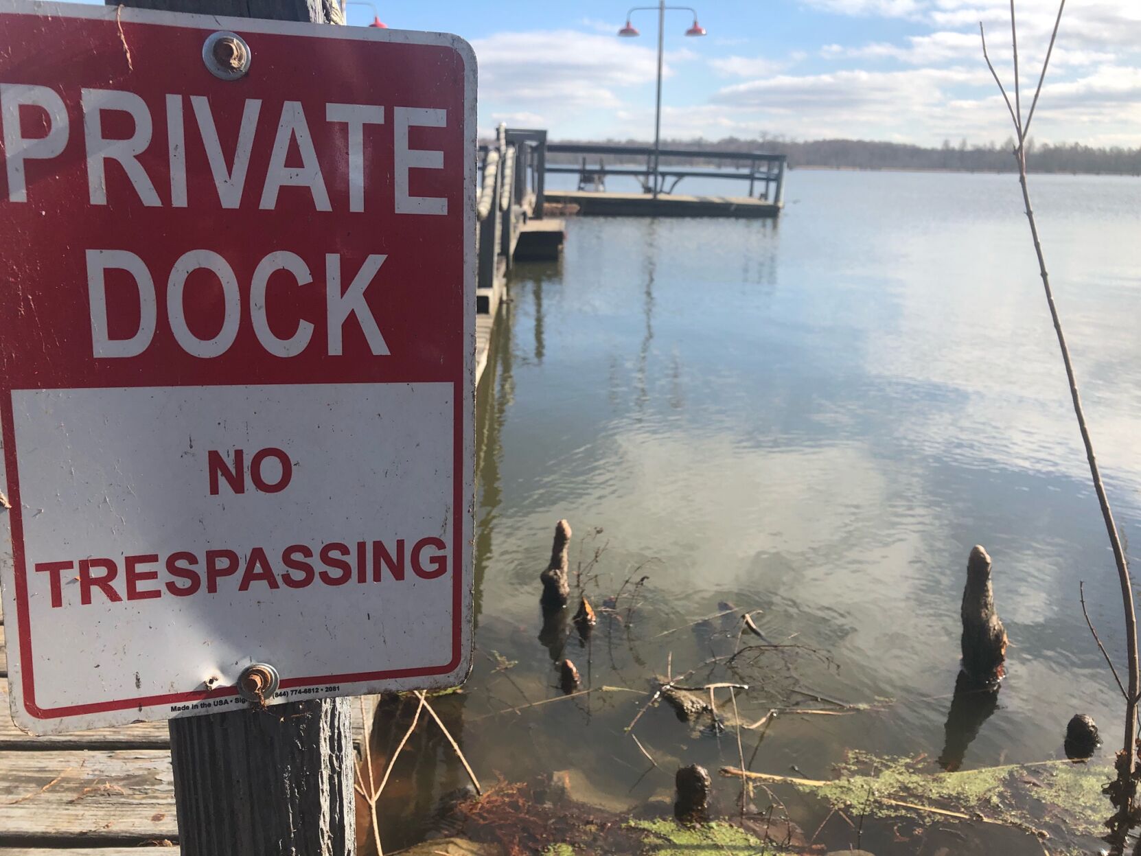 Reelfoot Lake